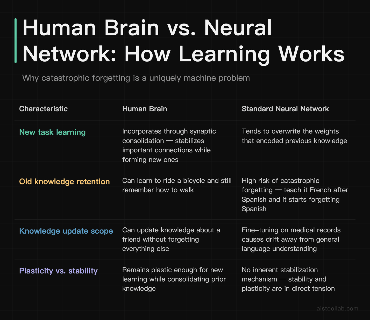 Comparison table of human brain synaptic consolidation versus neural network catastrophic forgetting across learning, retention, and plastic